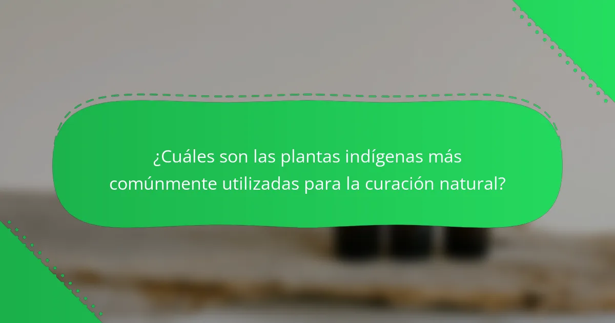 ¿Cuáles son las plantas indígenas más comúnmente utilizadas para la curación natural?