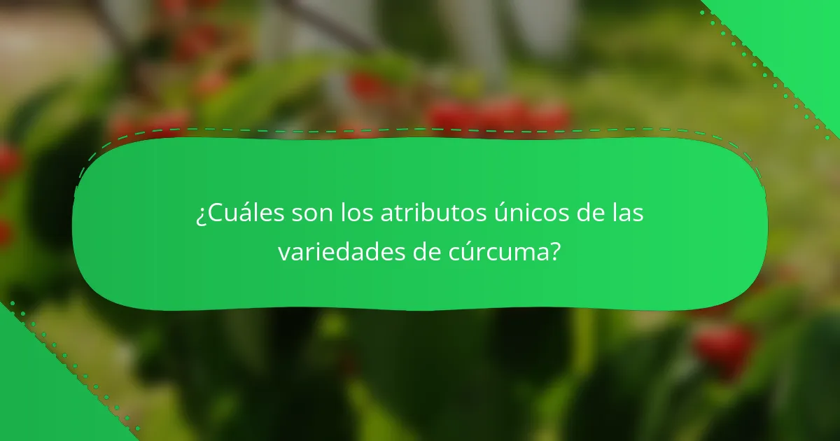 ¿Cuáles son los atributos únicos de las variedades de cúrcuma?