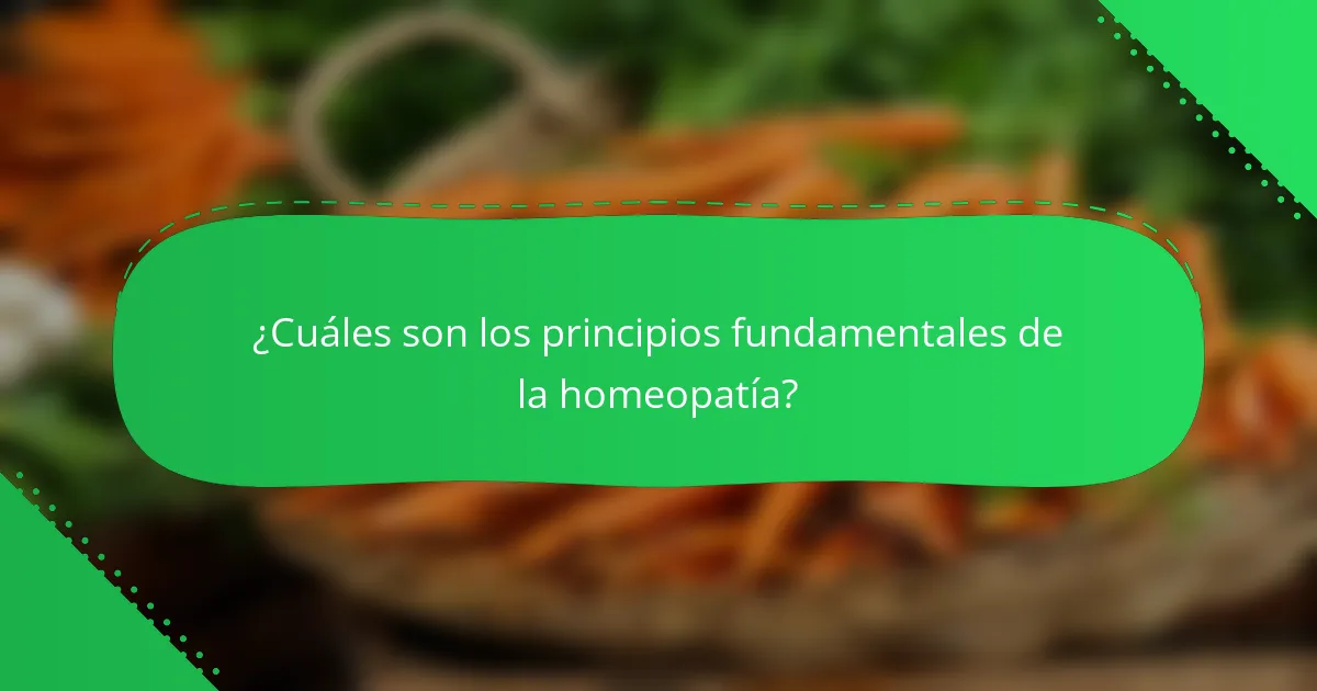 ¿Cuáles son los principios fundamentales de la homeopatía?