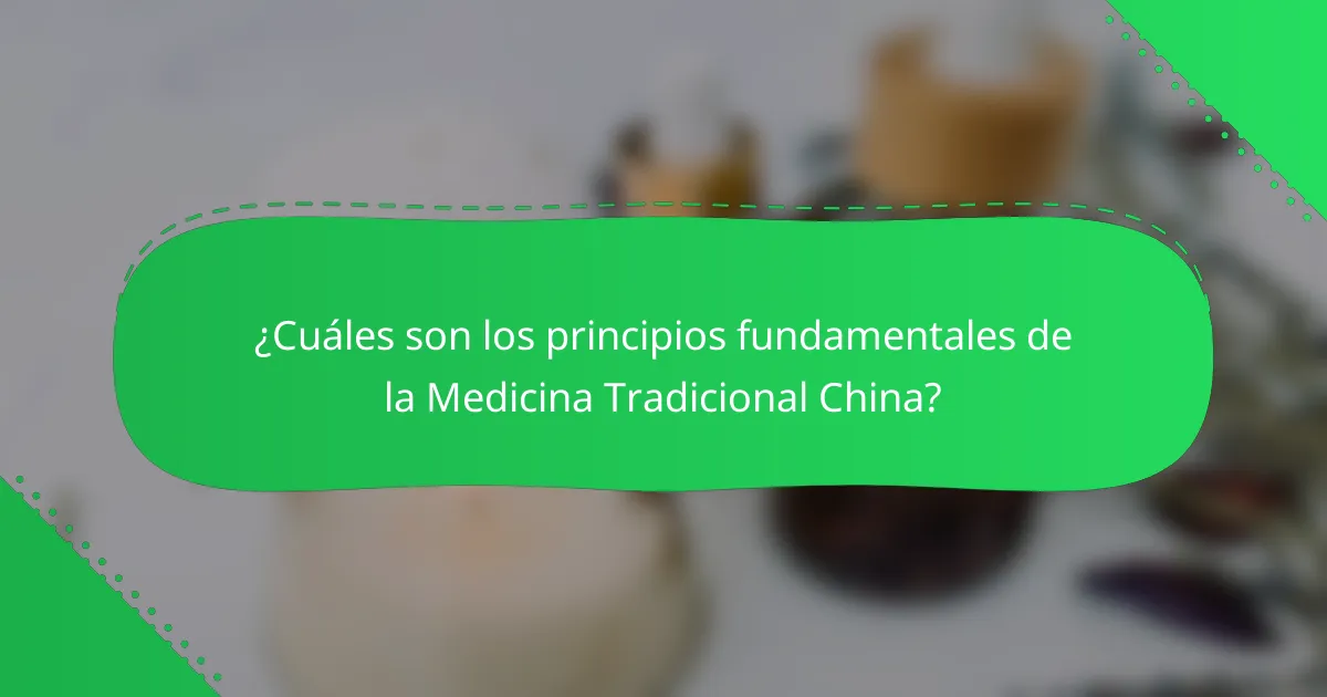 ¿Cuáles son los principios fundamentales de la Medicina Tradicional China?