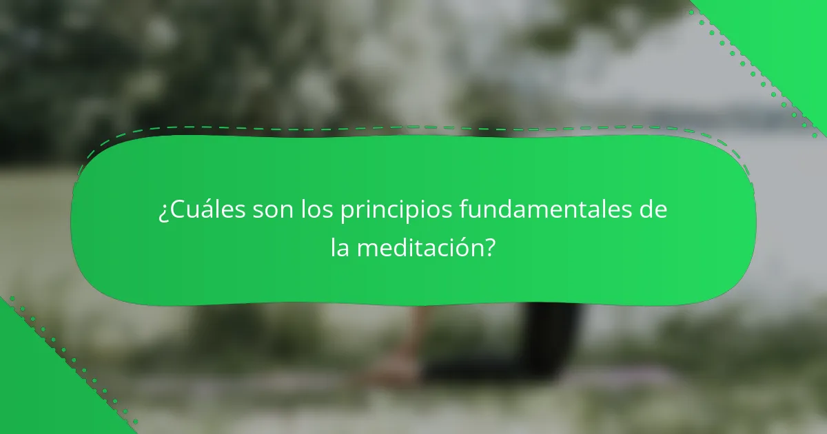 ¿Cuáles son los principios fundamentales de la meditación?