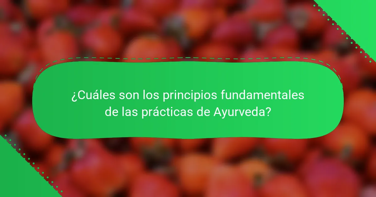 ¿Cuáles son los principios fundamentales de las prácticas de Ayurveda?